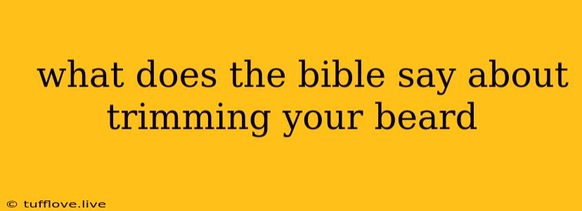  What Does The Bible Say About Trimming Your Beard