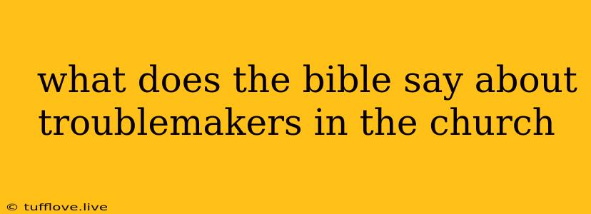  What Does The Bible Say About Troublemakers In The Church