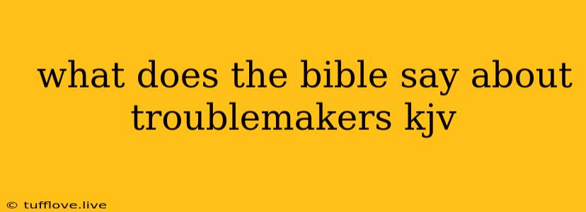  What Does The Bible Say About Troublemakers Kjv