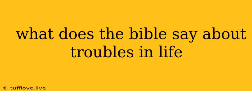  What Does The Bible Say About Troubles In Life