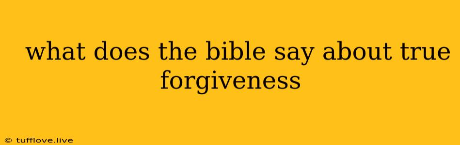  What Does The Bible Say About True Forgiveness