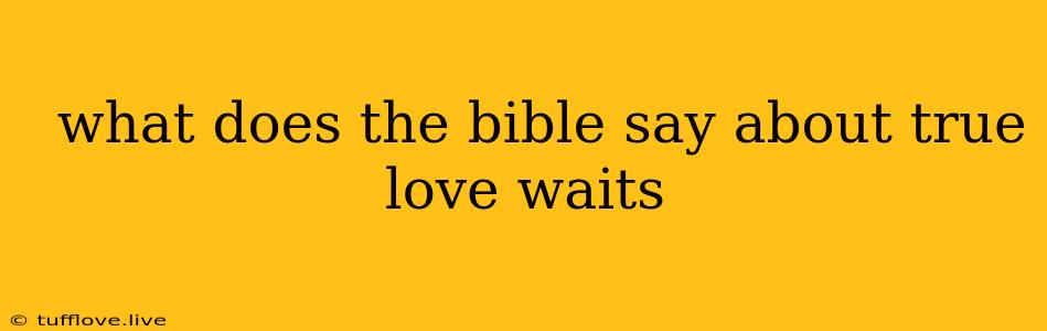  What Does The Bible Say About True Love Waits