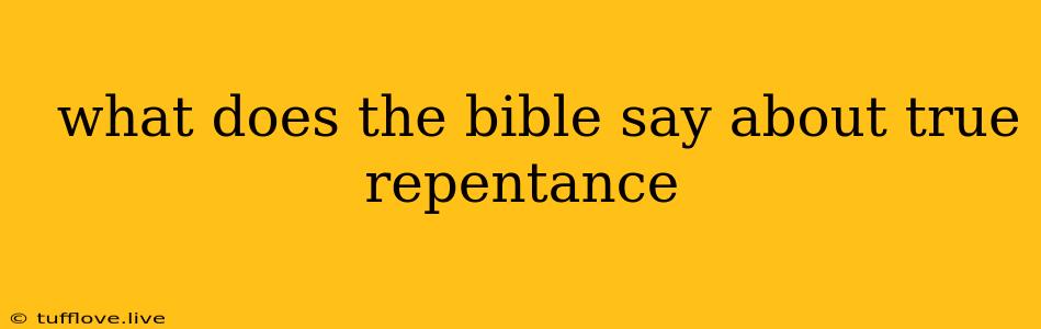  What Does The Bible Say About True Repentance