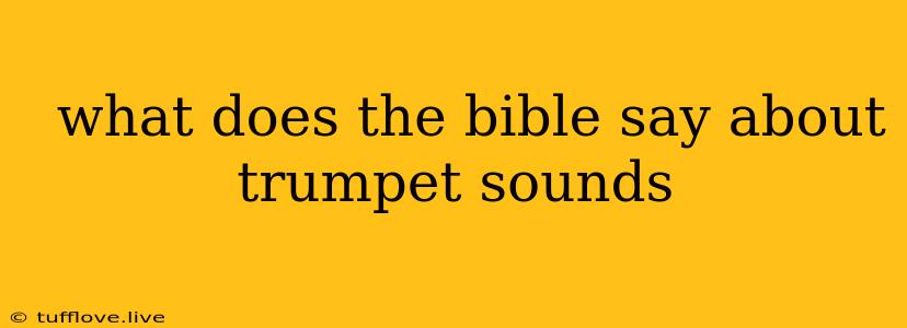  What Does The Bible Say About Trumpet Sounds