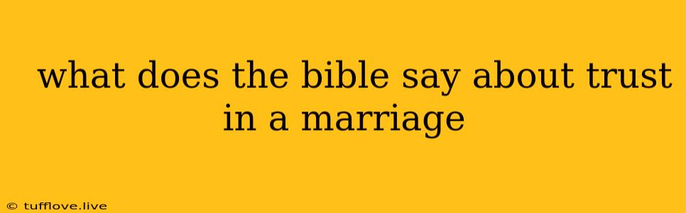  What Does The Bible Say About Trust In A Marriage