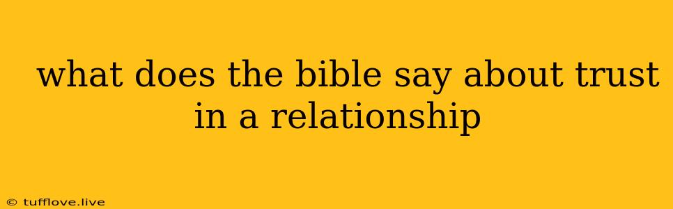  What Does The Bible Say About Trust In A Relationship