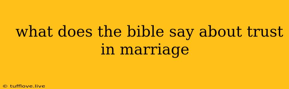  What Does The Bible Say About Trust In Marriage