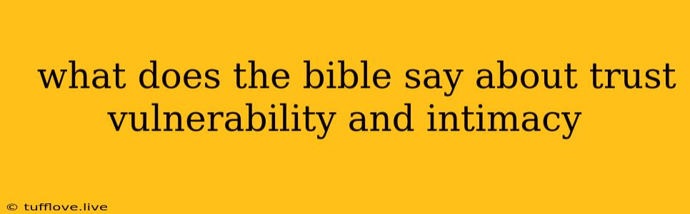  What Does The Bible Say About Trust Vulnerability And Intimacy