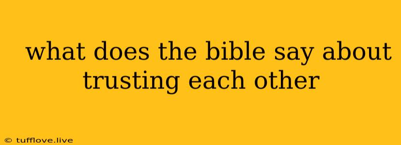  What Does The Bible Say About Trusting Each Other