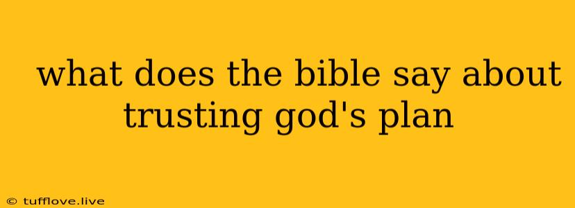  What Does The Bible Say About Trusting God's Plan