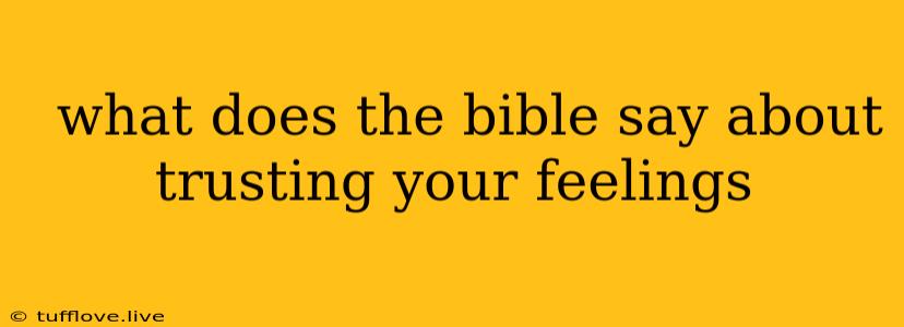  What Does The Bible Say About Trusting Your Feelings