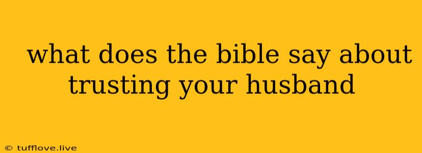  What Does The Bible Say About Trusting Your Husband