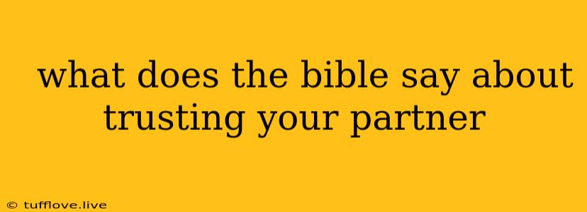  What Does The Bible Say About Trusting Your Partner