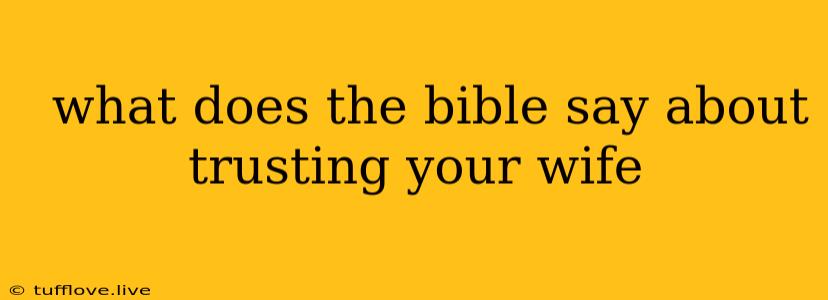  What Does The Bible Say About Trusting Your Wife