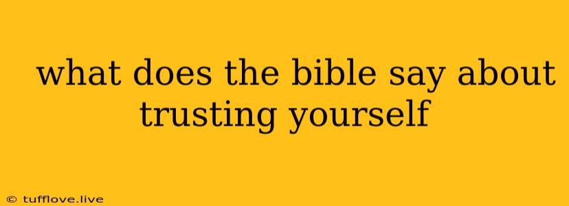  What Does The Bible Say About Trusting Yourself