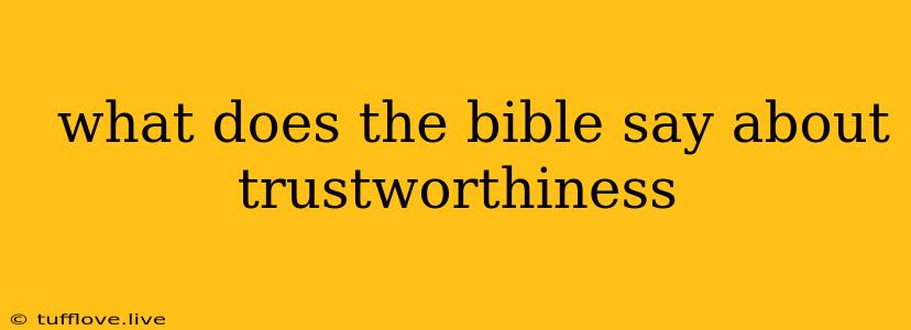  What Does The Bible Say About Trustworthiness