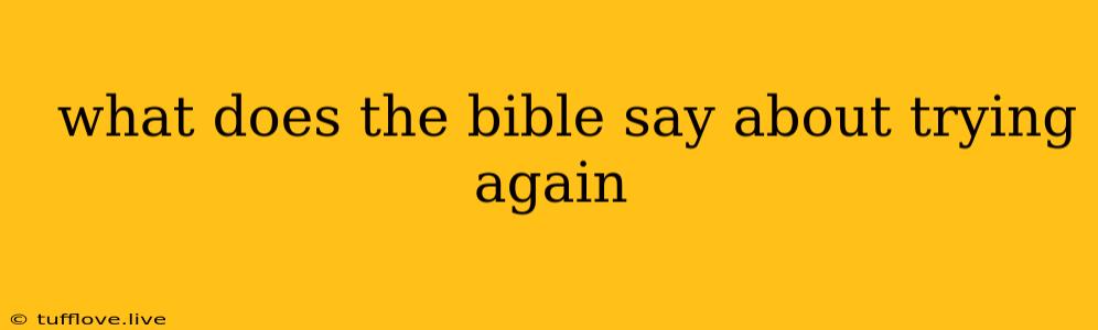  What Does The Bible Say About Trying Again