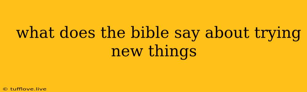  What Does The Bible Say About Trying New Things