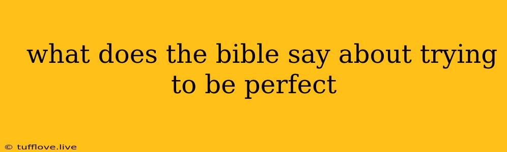  What Does The Bible Say About Trying To Be Perfect