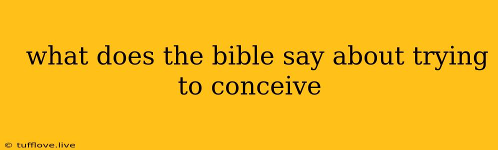  What Does The Bible Say About Trying To Conceive