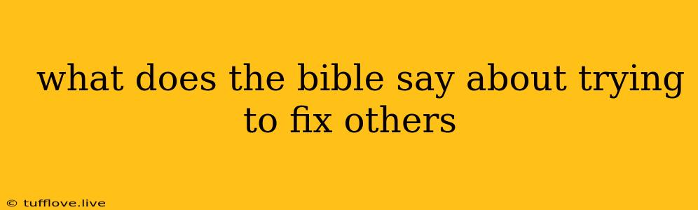  What Does The Bible Say About Trying To Fix Others