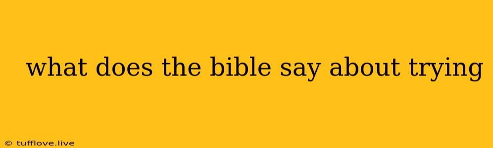  What Does The Bible Say About Trying