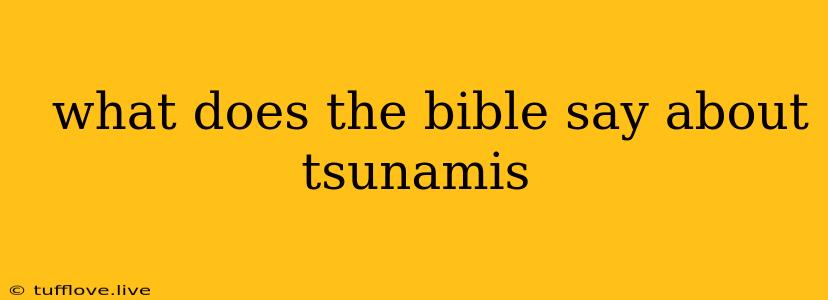  What Does The Bible Say About Tsunamis