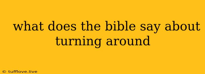  What Does The Bible Say About Turning Around