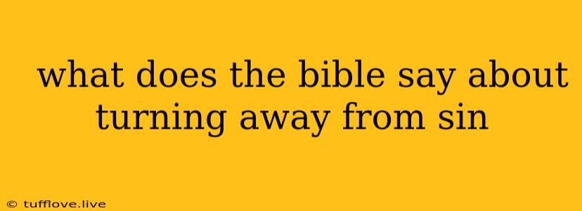  What Does The Bible Say About Turning Away From Sin