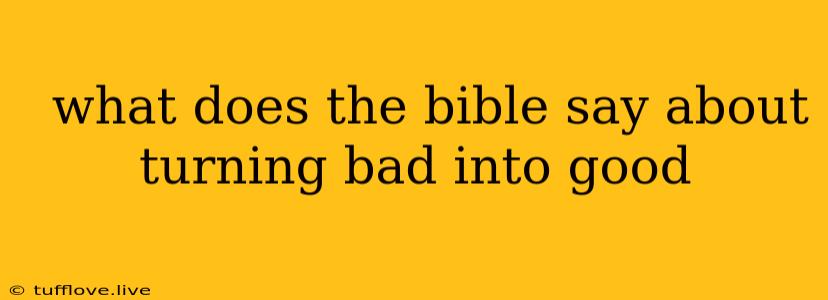  What Does The Bible Say About Turning Bad Into Good