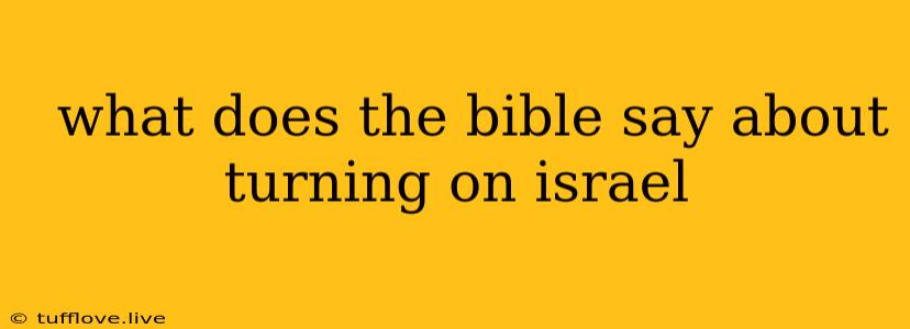  What Does The Bible Say About Turning On Israel