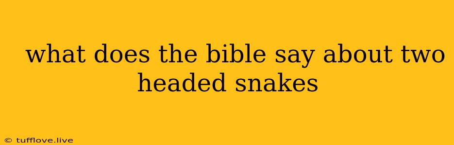  What Does The Bible Say About Two Headed Snakes