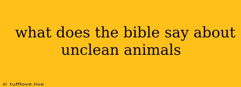  What Does The Bible Say About Unclean Animals