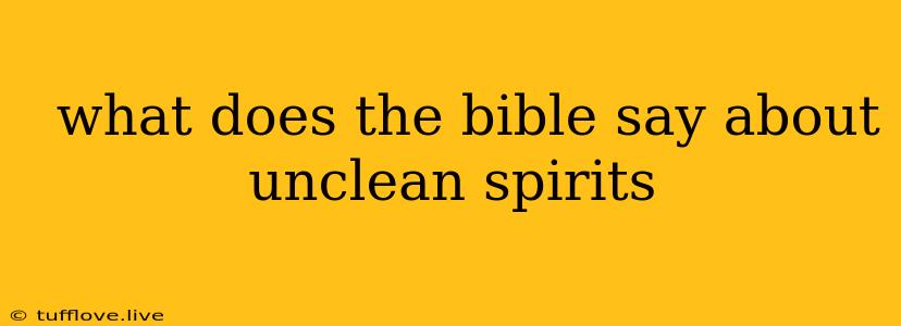  What Does The Bible Say About Unclean Spirits