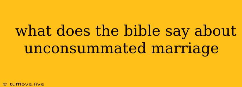  What Does The Bible Say About Unconsummated Marriage