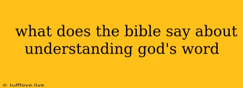  What Does The Bible Say About Understanding God's Word