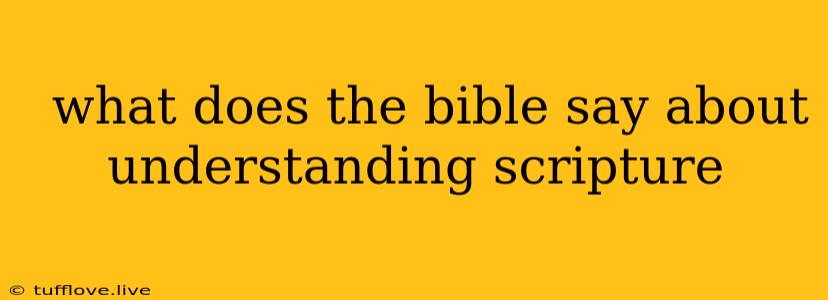  What Does The Bible Say About Understanding Scripture