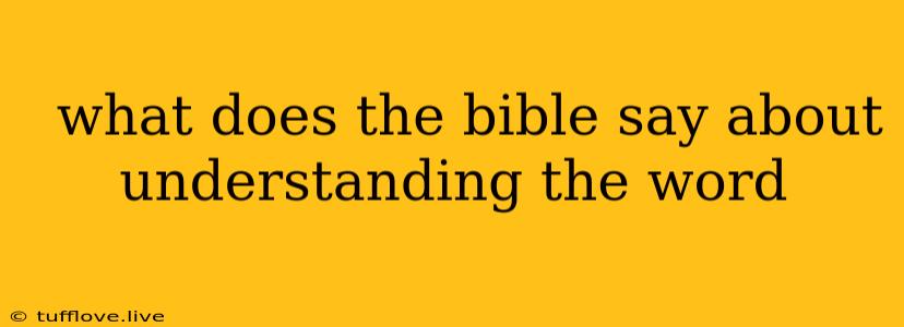  What Does The Bible Say About Understanding The Word