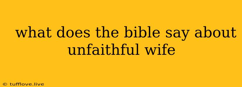  What Does The Bible Say About Unfaithful Wife