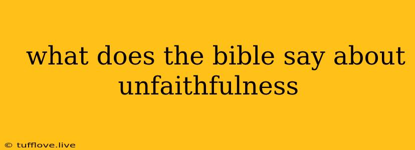  What Does The Bible Say About Unfaithfulness