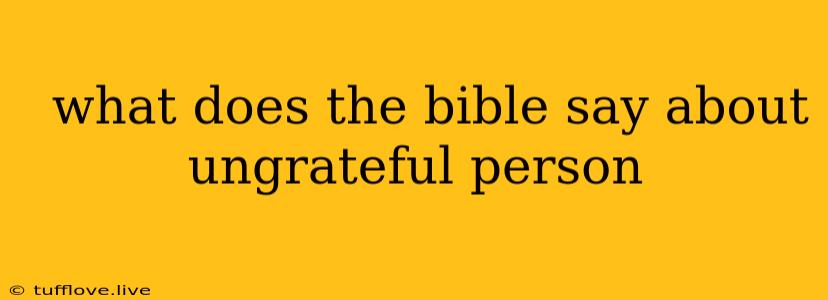  What Does The Bible Say About Ungrateful Person