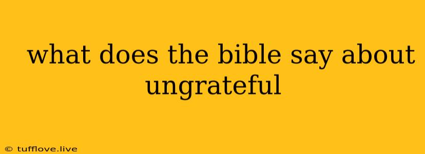  What Does The Bible Say About Ungrateful