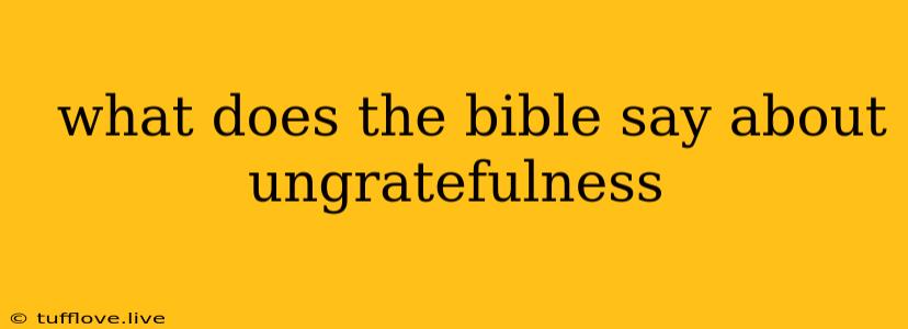  What Does The Bible Say About Ungratefulness