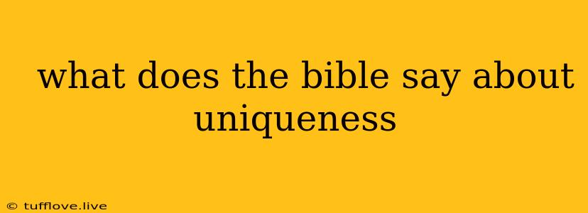  What Does The Bible Say About Uniqueness