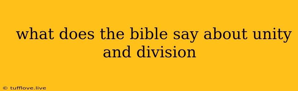  What Does The Bible Say About Unity And Division