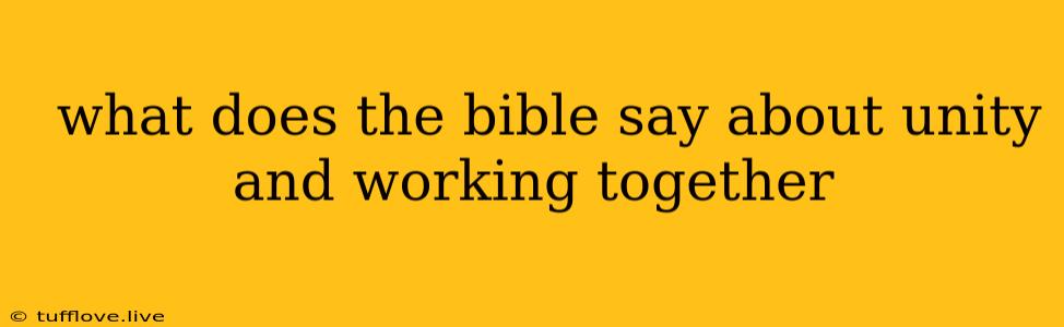  What Does The Bible Say About Unity And Working Together