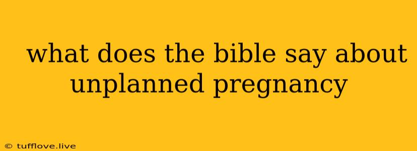  What Does The Bible Say About Unplanned Pregnancy