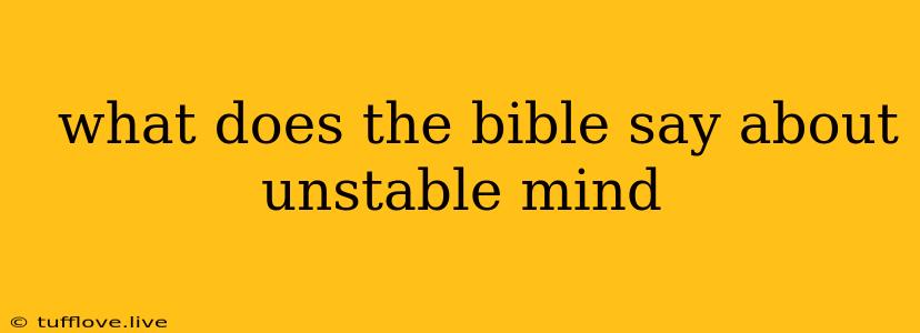  What Does The Bible Say About Unstable Mind