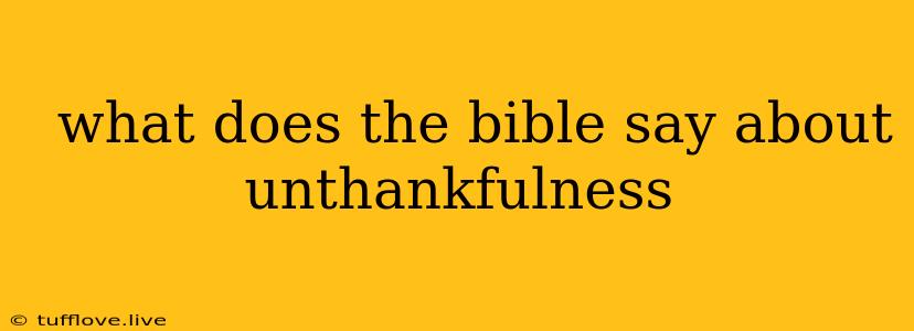  What Does The Bible Say About Unthankfulness