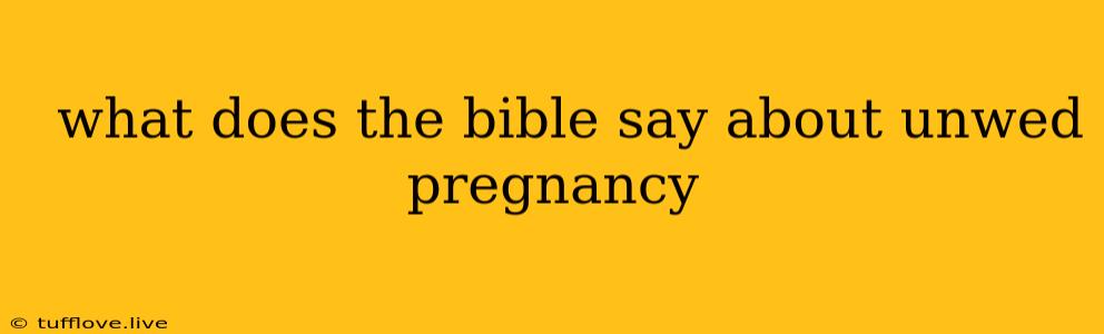  What Does The Bible Say About Unwed Pregnancy